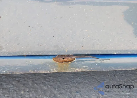 2006 Toyota Prius из США, поврежденный, VIN JTDKB20UX67509580